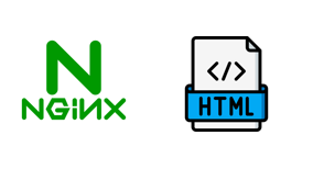 Nginx Basic Config
